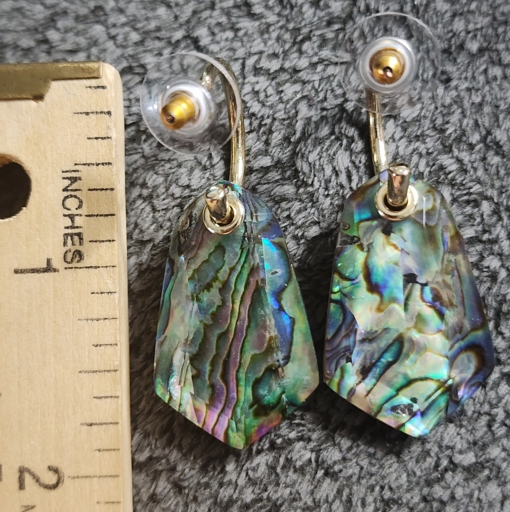 Abalone Shell Dangle Earrings - Picture 7 of 10